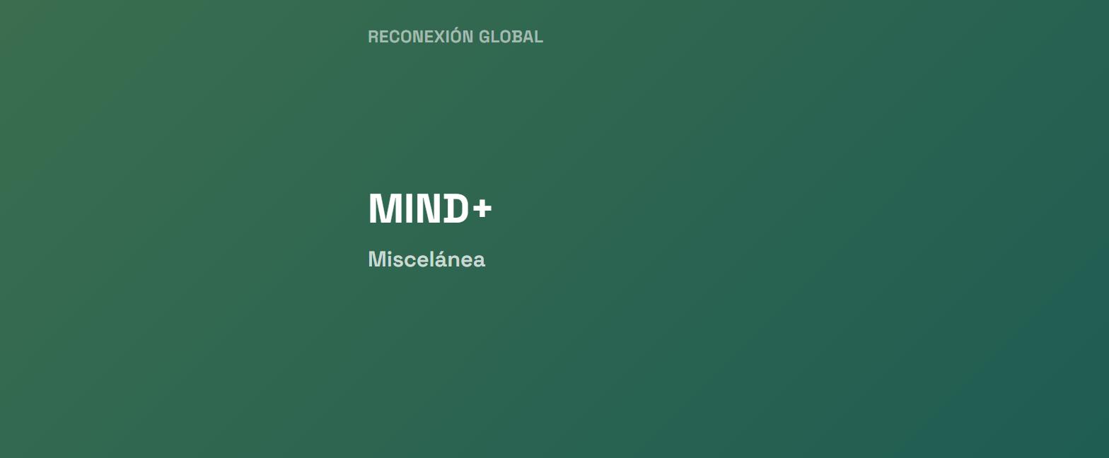 MIND+